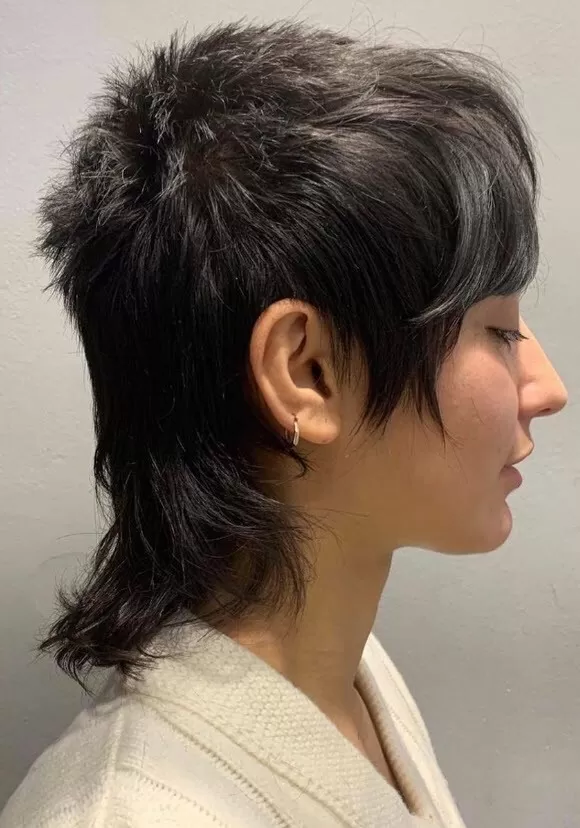 Mullet Frisur Kehren Zurück! | *Verpasst nicht den Trend* Frisuren Frisuren Damen 